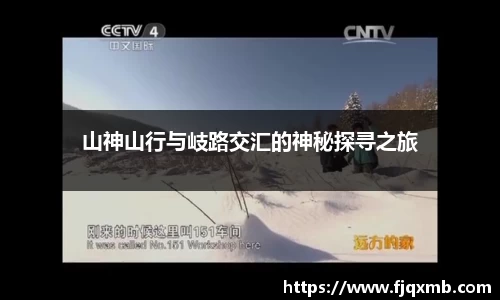 OE欧亿