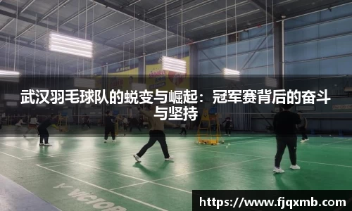 武汉羽毛球队的蜕变与崛起：冠军赛背后的奋斗与坚持