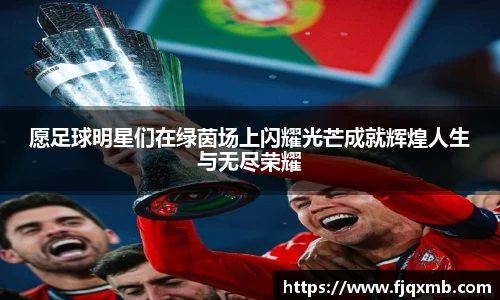愿足球明星们在绿茵场上闪耀光芒成就辉煌人生与无尽荣耀
